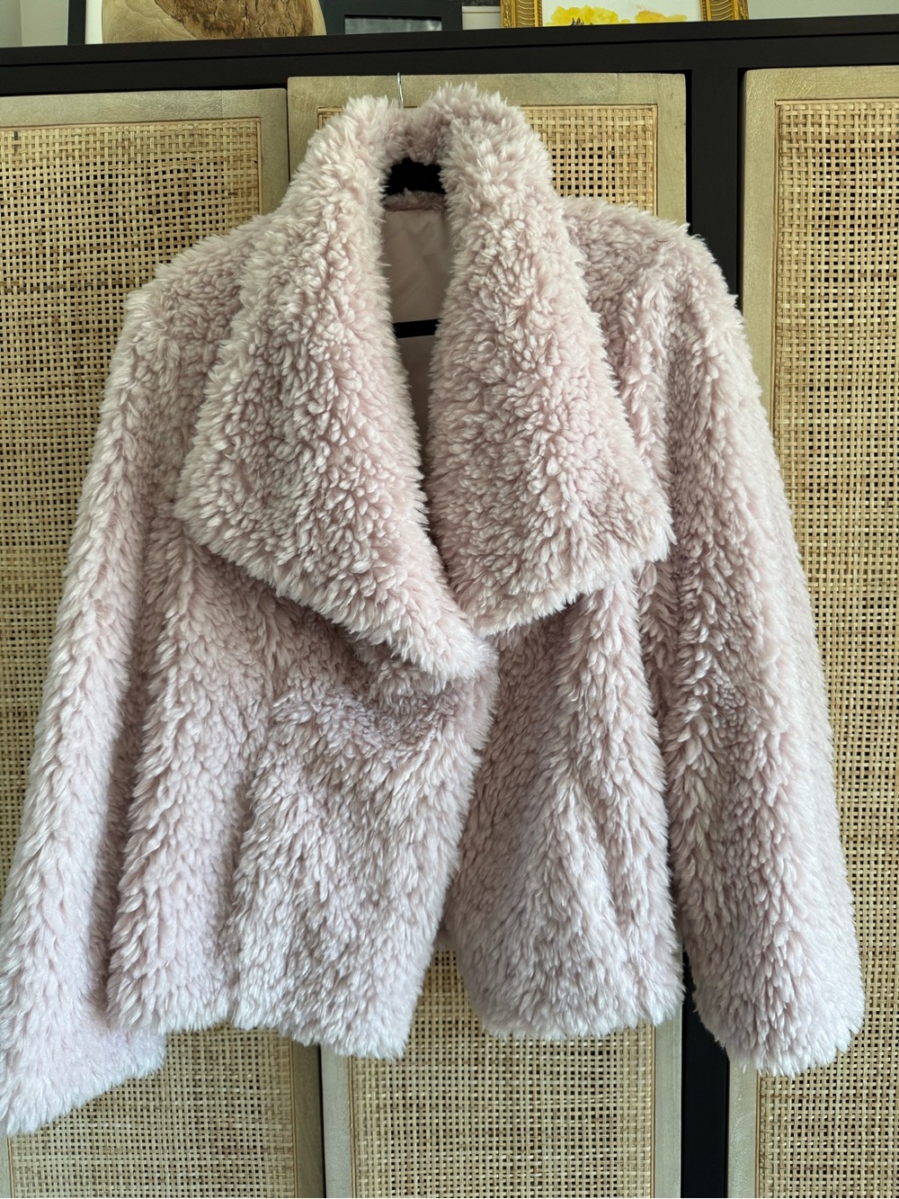 Cozy Plush Teddy Jacket in Light Pink